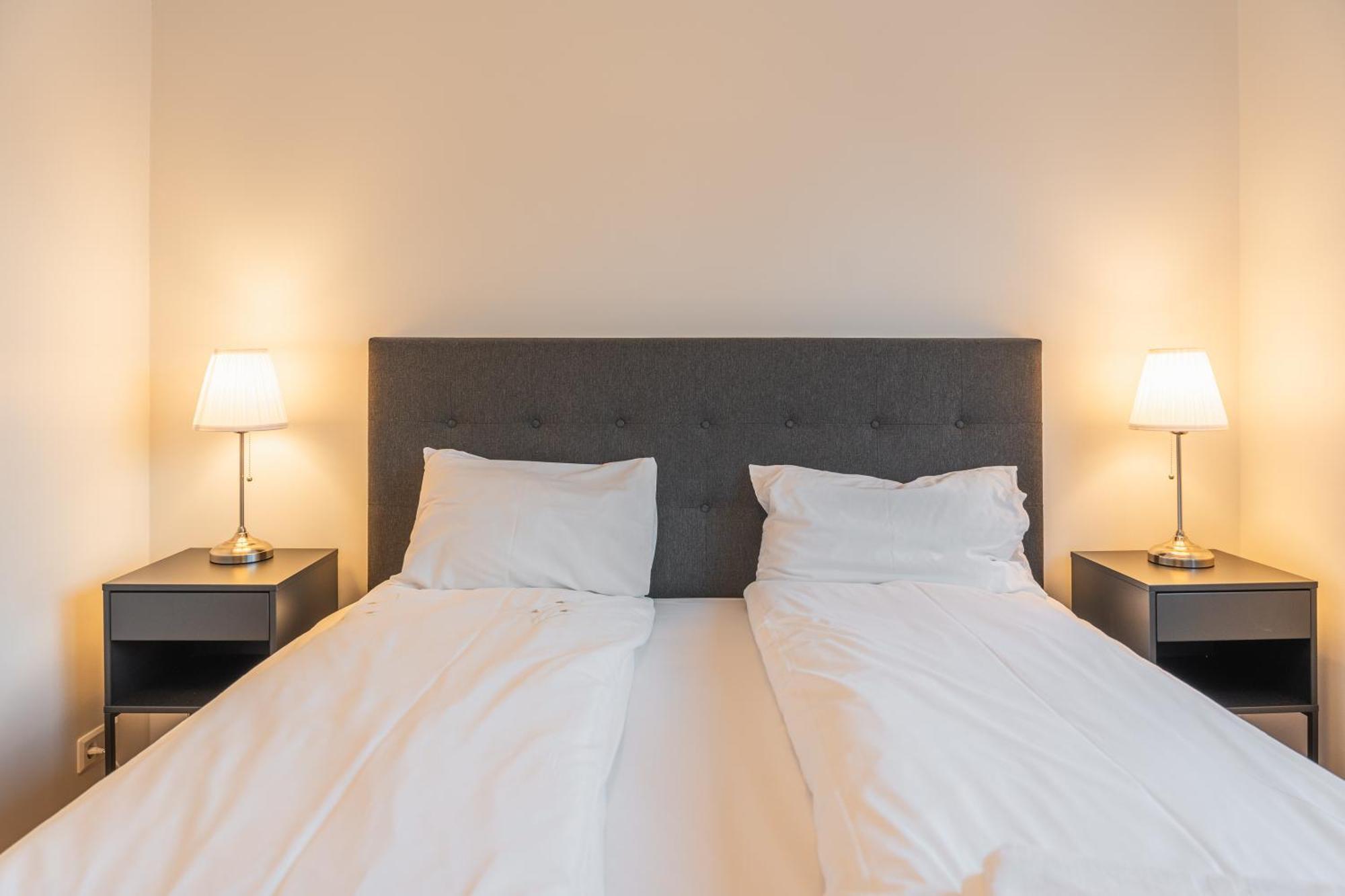 Day Dream Apartments Laugavegur 139 レイキャヴィーク エクステリア 写真